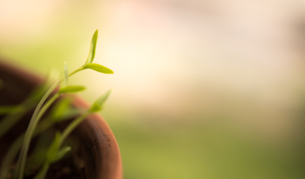 Tackling Environmental Injustice in the Age of Climate Change